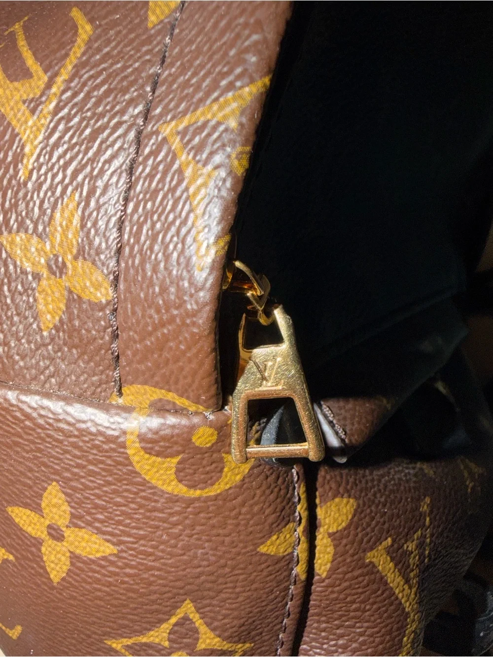 Louis Vuitton Monogram Mini Palm Springs Backpack